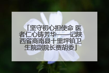 坚守初心担使命 医者仁心铸芳华——记陕西省商南县十里坪镇卫生院副院长贾胡委